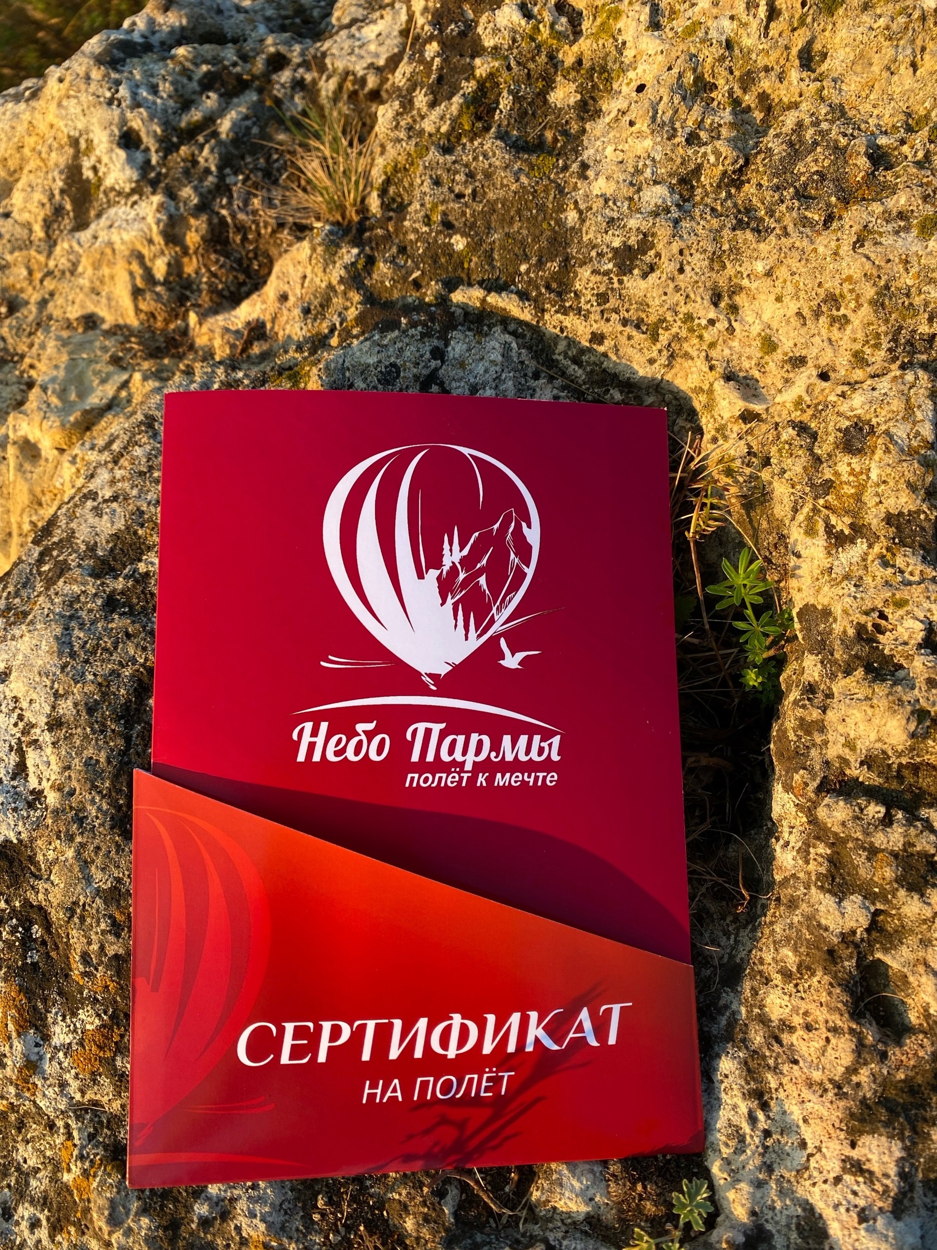 Небо Пармы