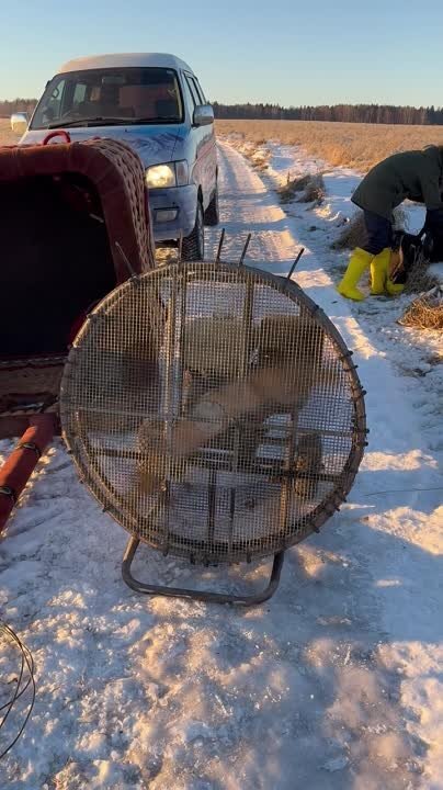 Полет на воздушном шаре в Пермском крае