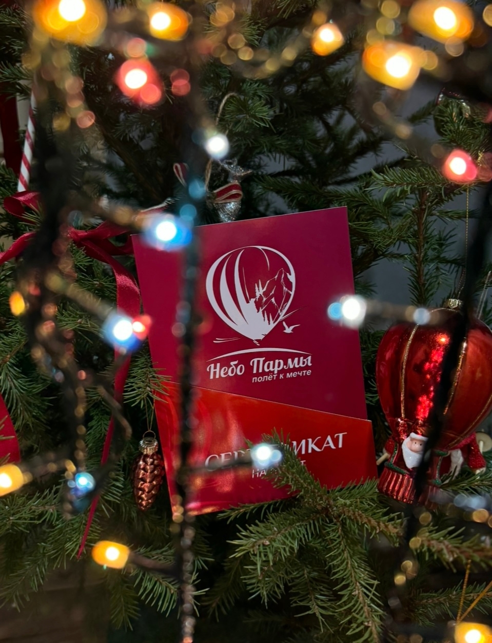 Полет на воздушном шаре в Пермском крае